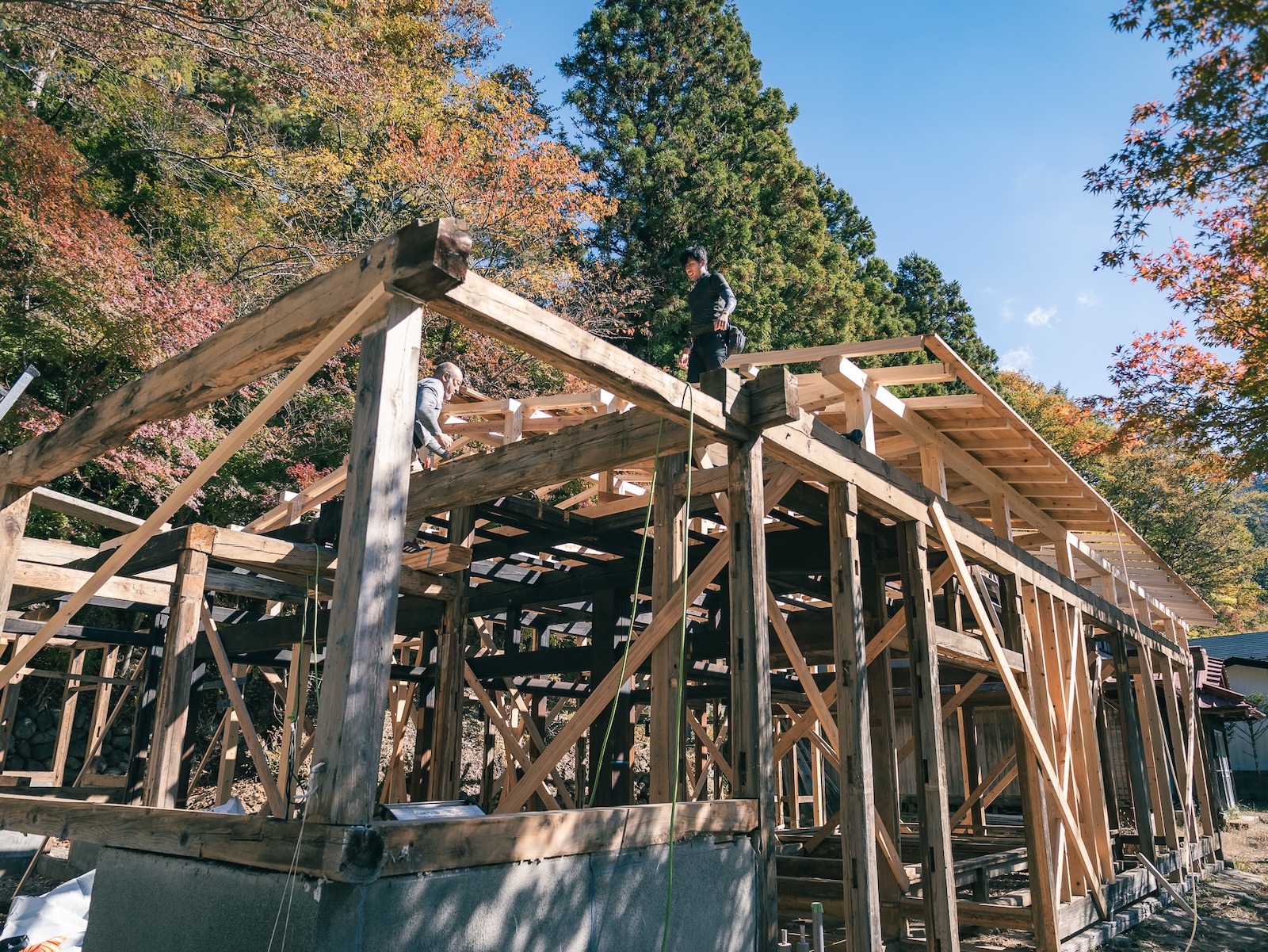 チーム仲野について